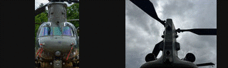 [Images]
